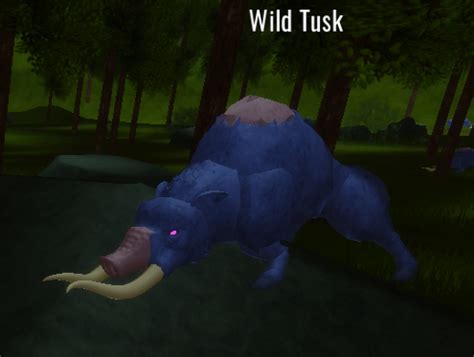 Wild Tusks Brabet