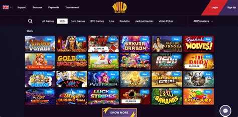 Wildblaster Casino