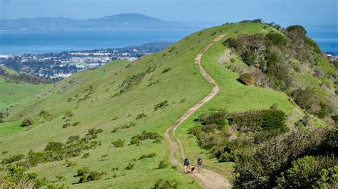 Wildcat Canyon Netbet