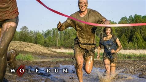 Wolf Run Fendas De Divertimento