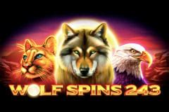 Wolf Spins 243 Blaze