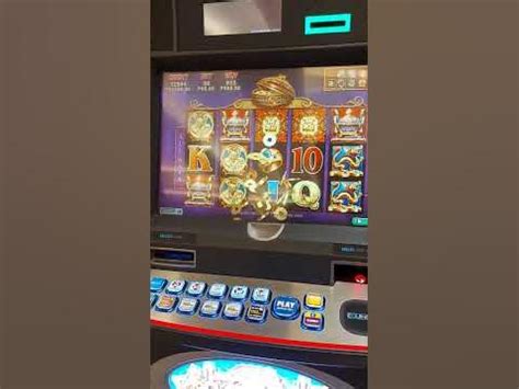 Ycg Casino