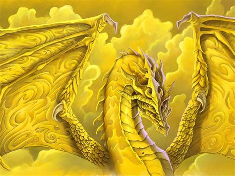 Yellow Dragon Betsul